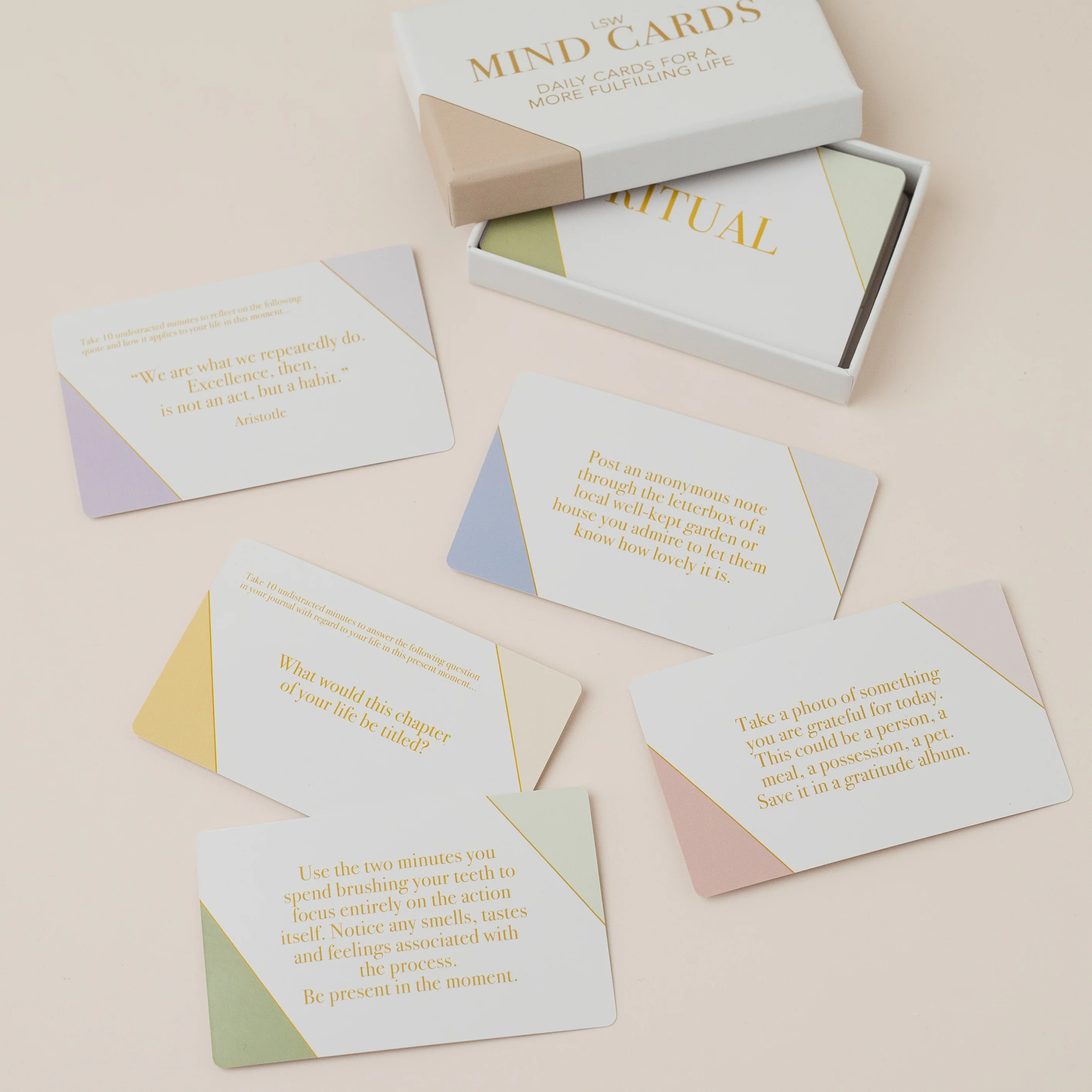 Family Bundle - Image 3